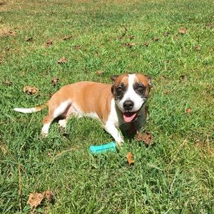 Meet your Posher, Camden